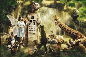 0930 A test of vision