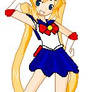 sailor moon doll