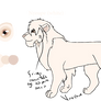 Nyeupe