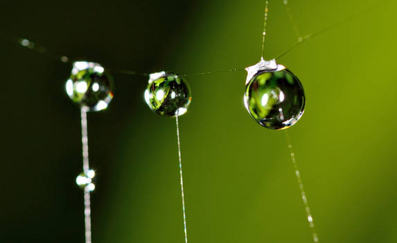 droplets