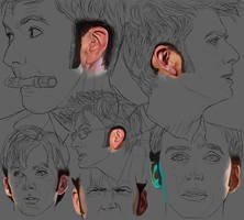 12 David Tennant ears