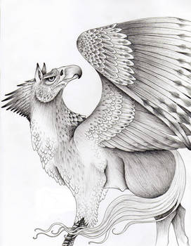 Hippogriff