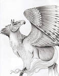 Hippogriff by verreaux
