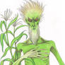 He Who Walks Behind the Rows