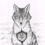 Skinwalker
