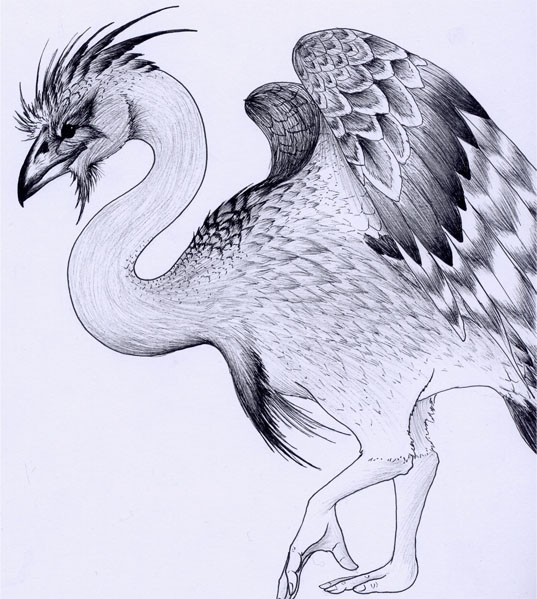 Atotolin 2 by verreaux on DeviantArt