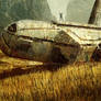 In The Wheatfield