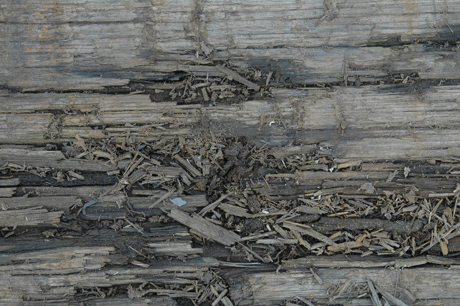 Splintered Pulp Splintered wood texture_001 by BlokkStox on DeviantArt