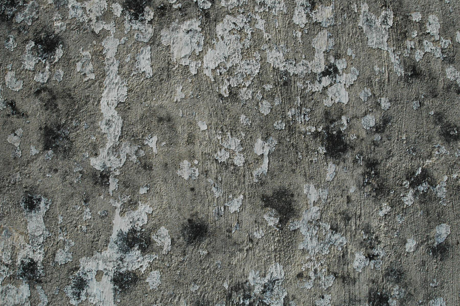 Old Stucco texture