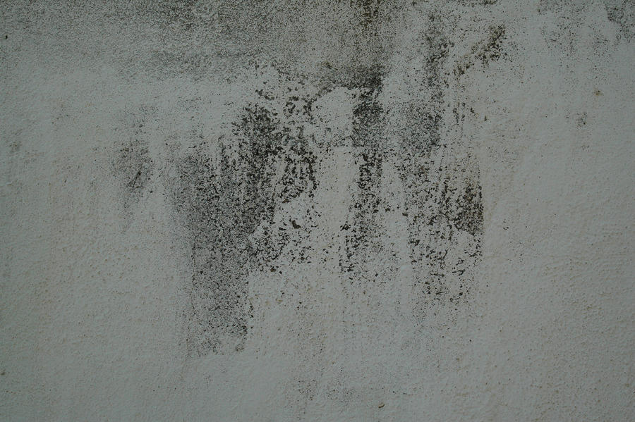 Weathered Stucco texture