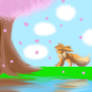 Eevee near the cherry blossom tree