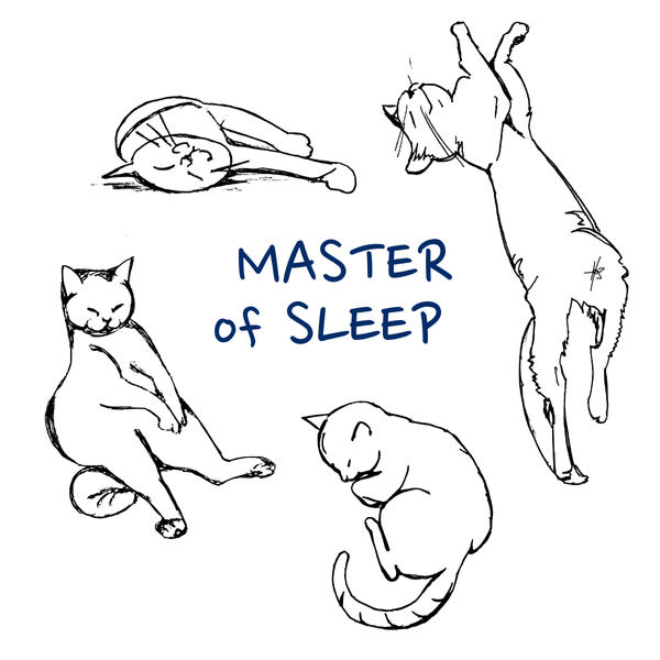 Deviantart Masterofsleep Master of sleep by remarke2001 on DeviantArt