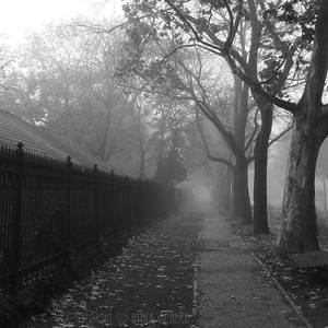 misty alley