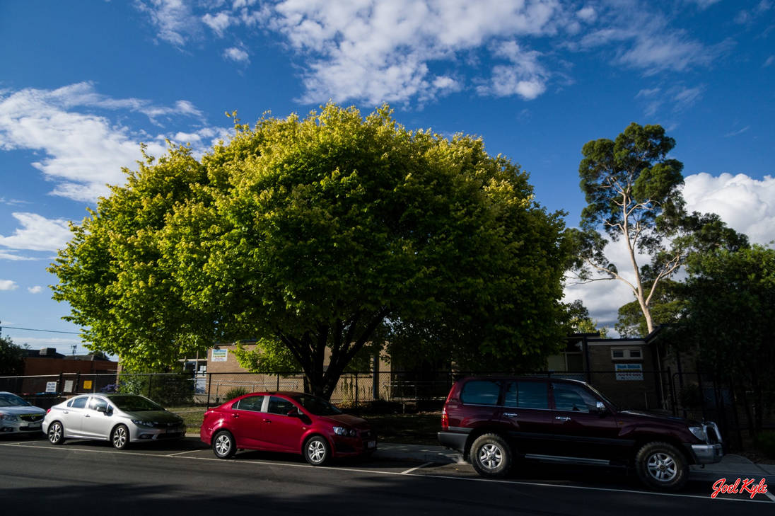 Suburban Sky