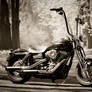 Harley Davidson