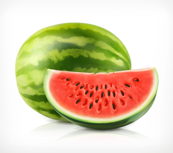 Watermelon Vector