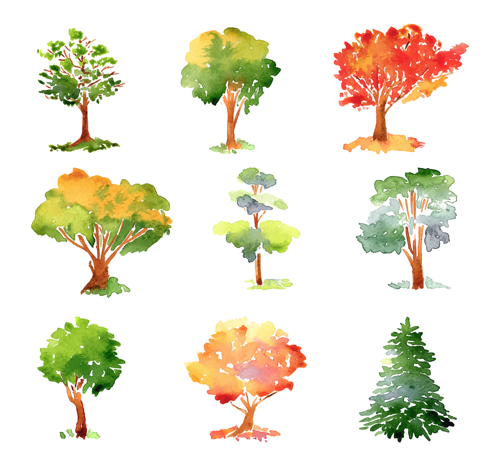 Visual Representation Color Tree 9 Color Tree Design Vector by FreeIconsdownload on DeviantArt