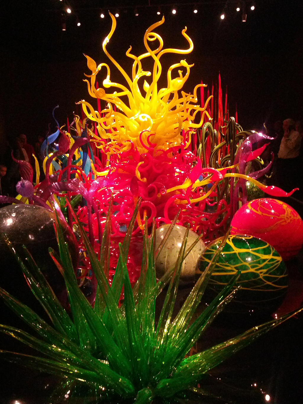 Chihuly Exposition_Musee Beaux-Arts Montreal_7