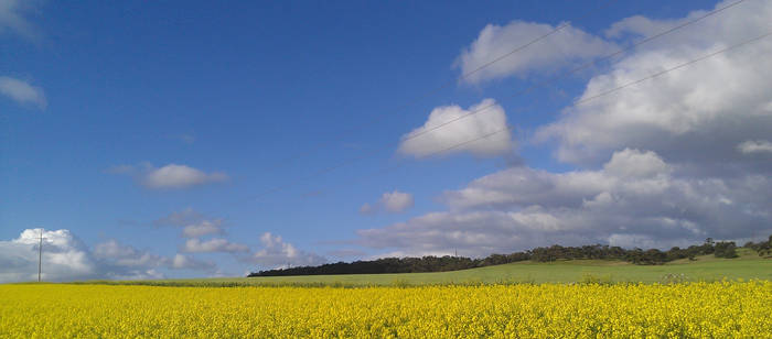 In the fields pt2