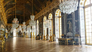 The Hall of Mirrors