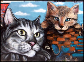 Gatos Kiz+Hec