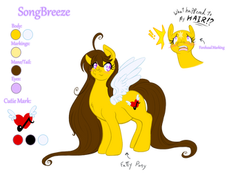 MLP - Songbreeze Reference sheet