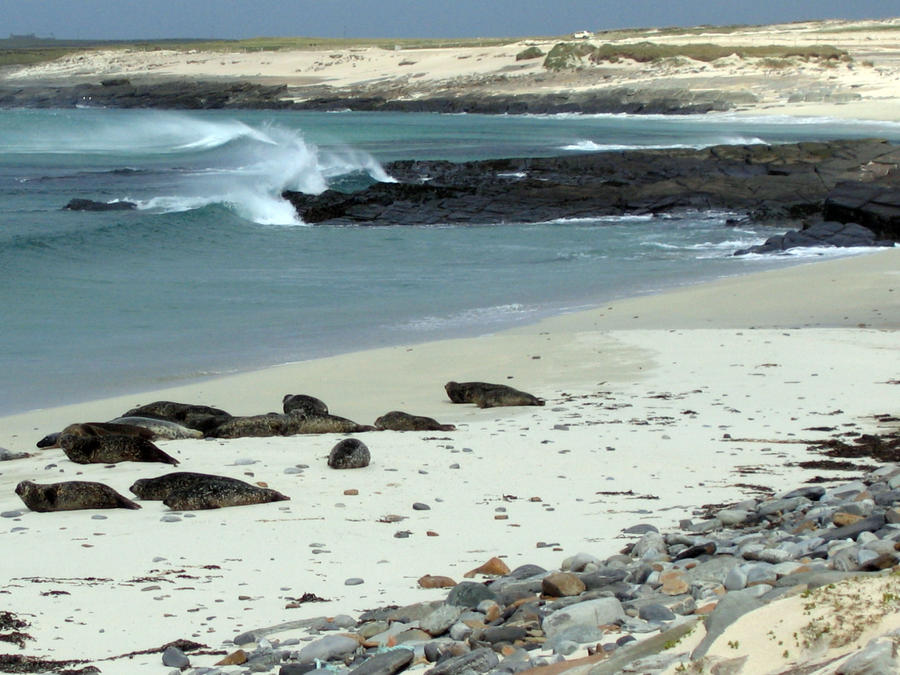 'Boulders' on a beach