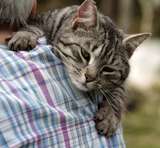 'Cat' loves a cuddle