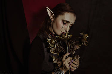 Elves | Val