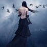 In Silent Moments