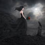To Bid You Farewell