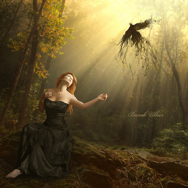 Rise From The Ashes By Burakulker On Deviantart Rise From The Ashes By Burakulker On Deviantart