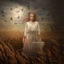 Lady Midday