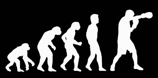 Boxing Evolution by TheGorillaMan on DeviantArt