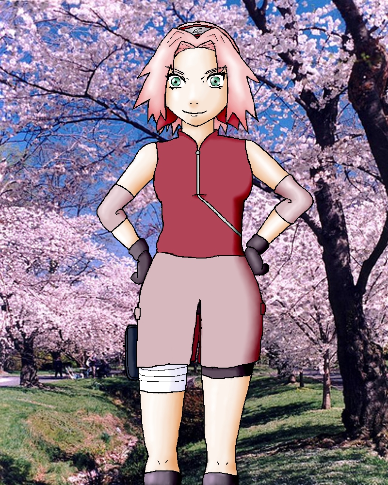 Sakura-Chan