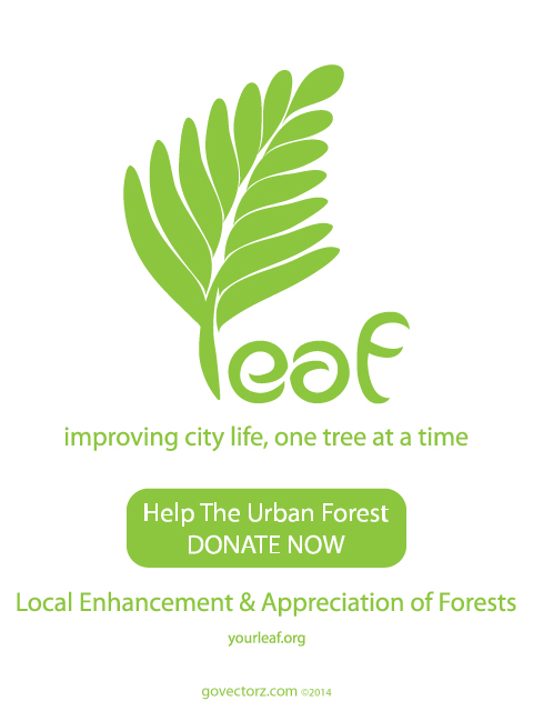 Improving City Life, One Tree At A Time