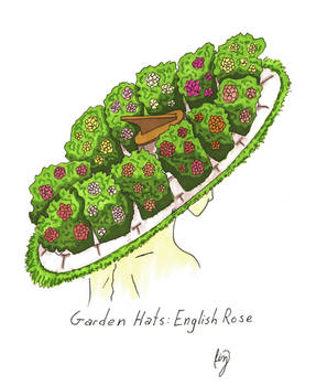 Garden Hats: English Rose