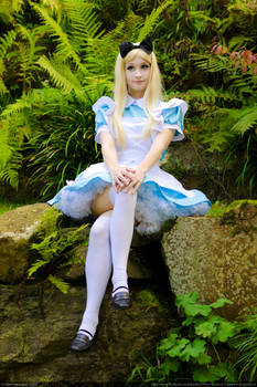 Alice in Wonderland