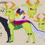 (OLD) Thorax