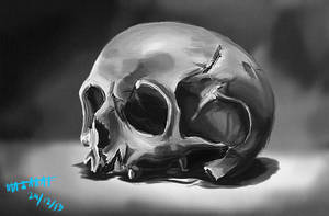 Skull study