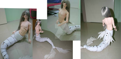 WIP bjd dragon tail 2