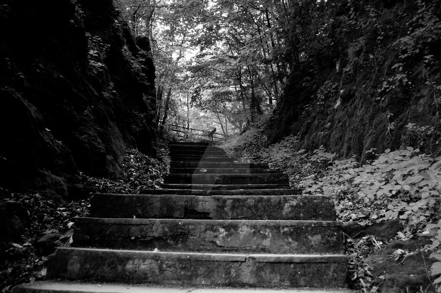 Indian Ladder Trail Steps