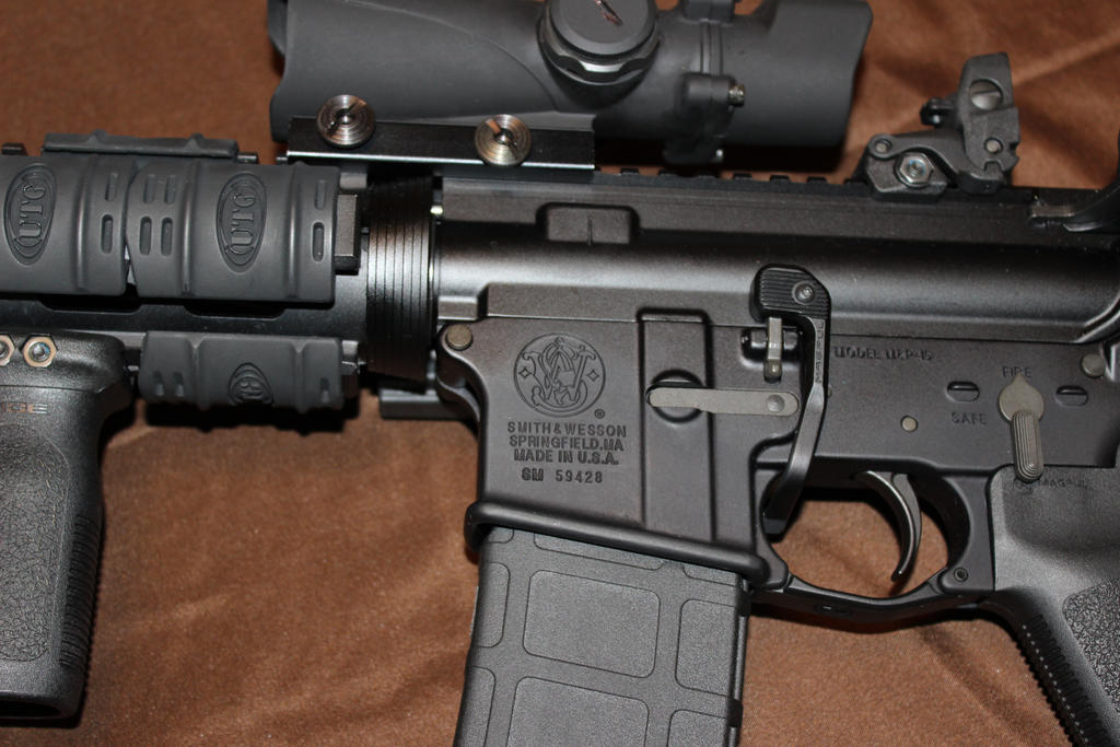 Smith and Wesson MP15