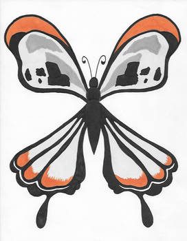 Orange Butterfly