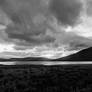Scottish Symphony in Black and White