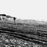 Traces on the Isle of Sylt