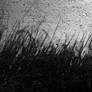 Shadows on the Wall