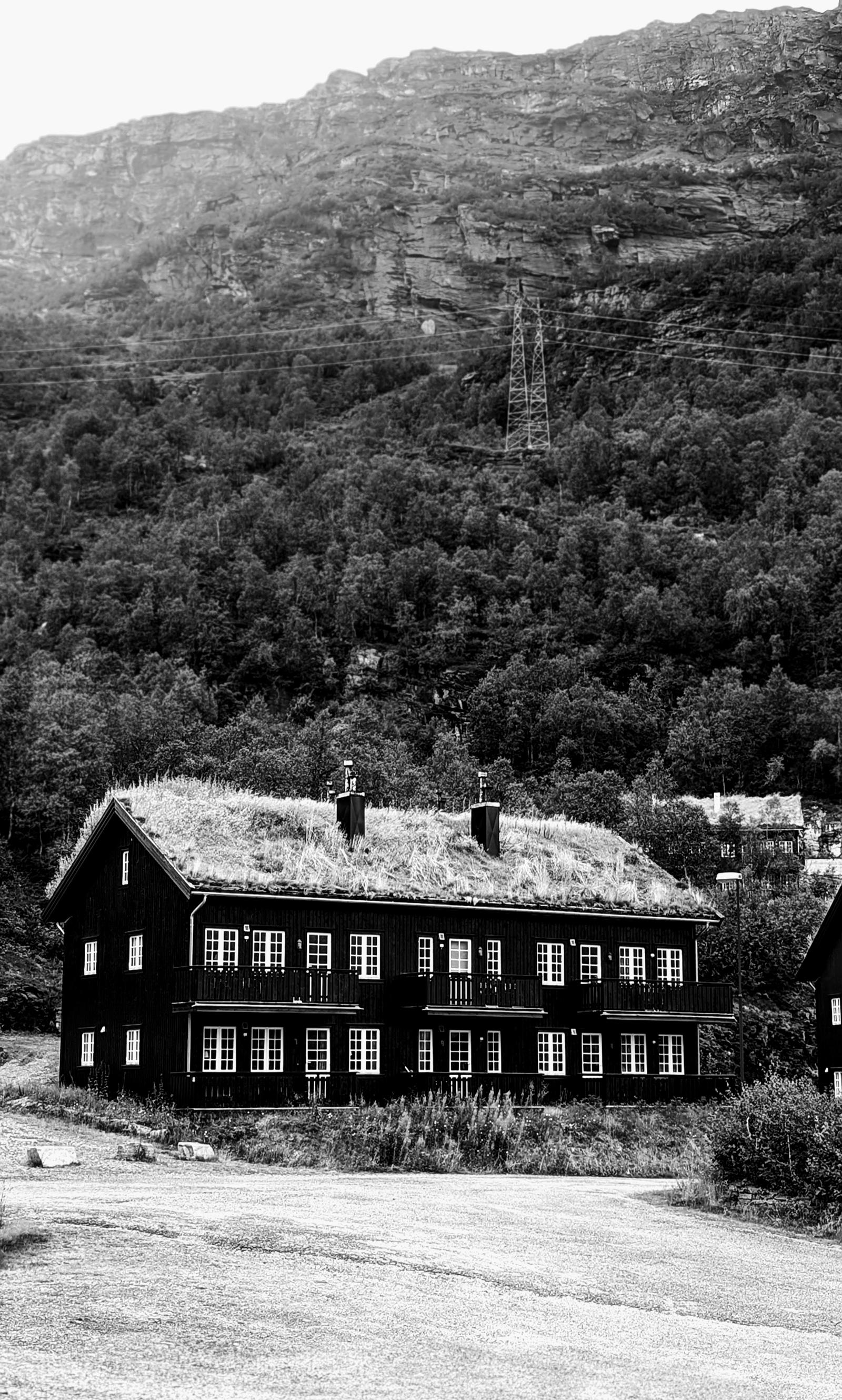 Roots to the Top - how grass is growing in Norway