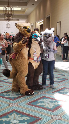 Megaplex 2019