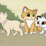 Kits